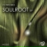 Roygreen & Protone