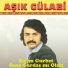 Aşık Gülabi