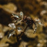Naturaleza, Mantra para Meditar, Dormir Sol