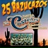 Banda los Costeños de Zirándaro Guerrero