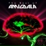 Amigdala