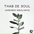 Thab De Soul