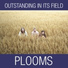 Plooms