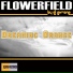 Flowerfield by DJ-Ex-One & Sebastian Hilgenfeld