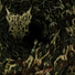 Defeated Sanity