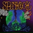 Spinkick