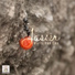 Jasser