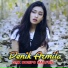 Denik Armila