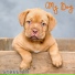 Street19
