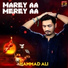 Hammad Ali