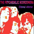 The Psychedelic Scorzonera