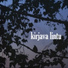 Kirjava Lintu