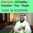 Fahd Al Kandari