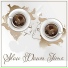 Romantic Piano Music Masters