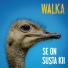 Walka