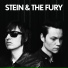 Stein and the Fury