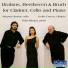 Leslie Craven, Yoko Misumi, Stjepan Hauser