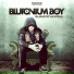 Blutonium Boy