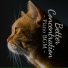Piano Cats, Tamana Yaguchi