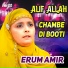 Erum Amir
