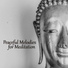 Meditation & Stress Relief Therapy