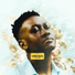 Sipho the Gift feat. Damaris Joi