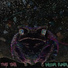 Time Toad