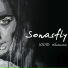 Sonasfly