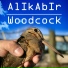 AlIkAbIr