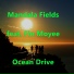 Mandala Fields feat. Fin Moyee