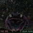 Time Toad