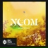 Noom, Mathew Newsam
