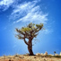 Spa & Spa, ambiente, Deep Sleep Music Collective