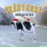 Drängarna
