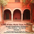 Orchestre Andalou d'Israel, Lior Elmaleh
