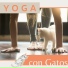 Hatha Yoga Maestro