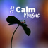 Soothing Music Academy feat. Relaxation Zone