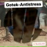 Gotek