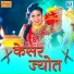 Durga Jasraj