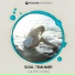 Soul Traumer