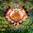 LuvAmp Project