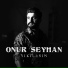 Onur Seyhan