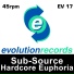 Sub Source