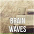 Brain Training Society