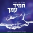 מאיר בן דרור