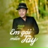 Dương Thái Hùng