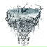 DISREIGN