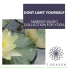 Sanct Devotional Club, Ambient 11