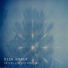 Ant lrd & Benoît Pioulard
