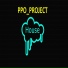 PPO PROJECT